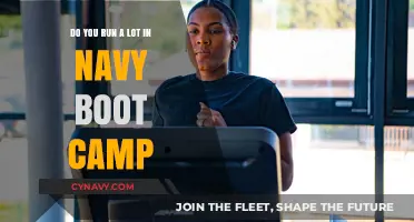 Endurance and Grit: The Running Regimen in Navy Boot Camp