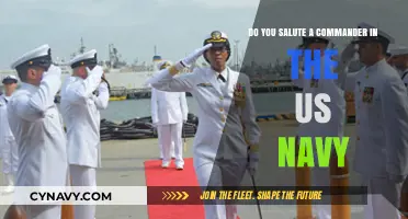 Understanding Military Etiquette: Saluting a Commander in the US Navy