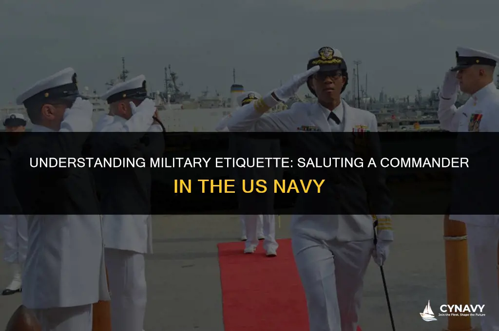 do you salute a commander in the us navy