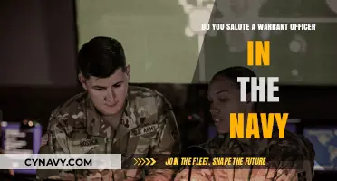 Understanding Naval Hierarchy: Saluting Warrant Officers