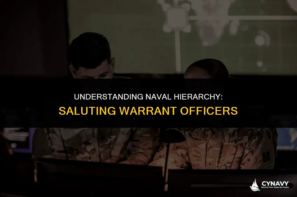 do you salute a warrant officer in the navy