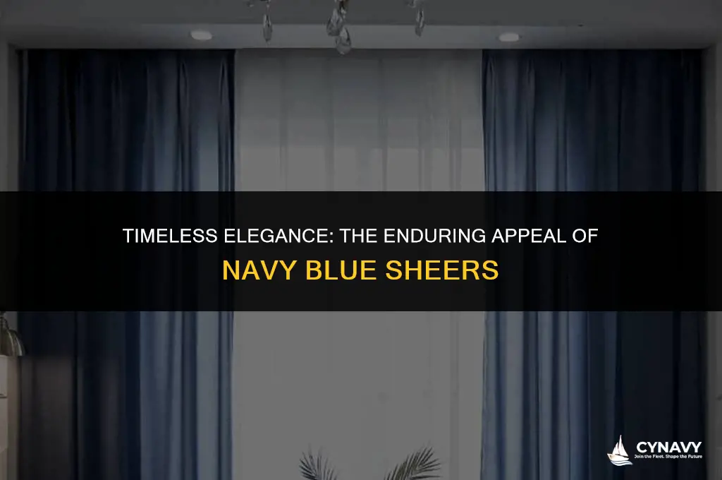 do you still wear navy blue sheers