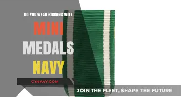 Mini Medals and Ribbons: A Guide to Navy Decorations