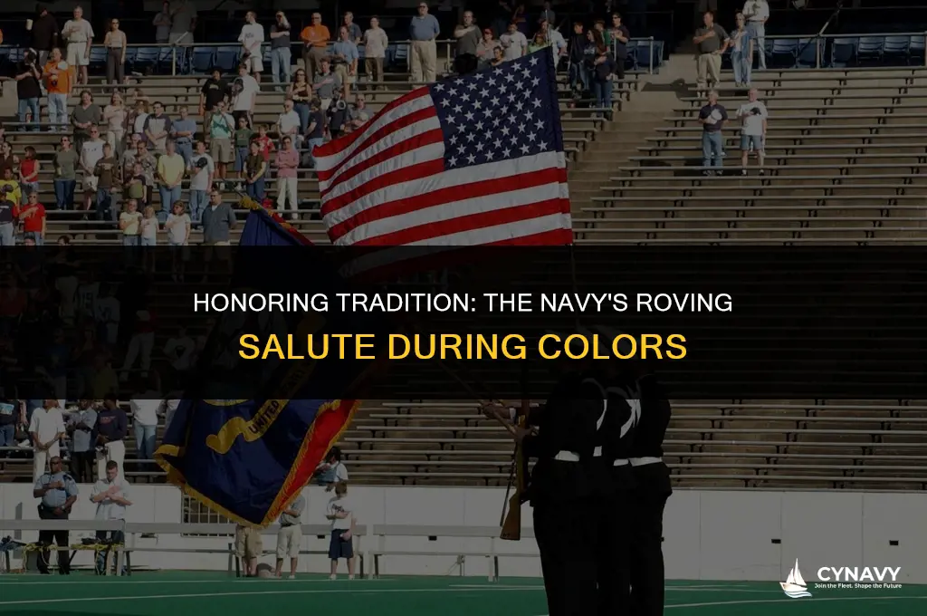 does a navy roving salite during colors