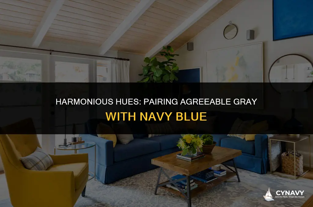 does agreeable gray go with navy blue