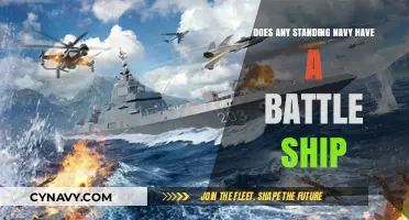 Modern Navies: The Absence of Traditional Battleships Explained