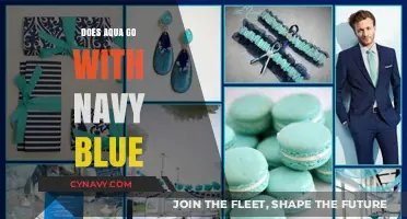 Harmonious Hues: Aqua and Navy Blue in Perfect Sync
