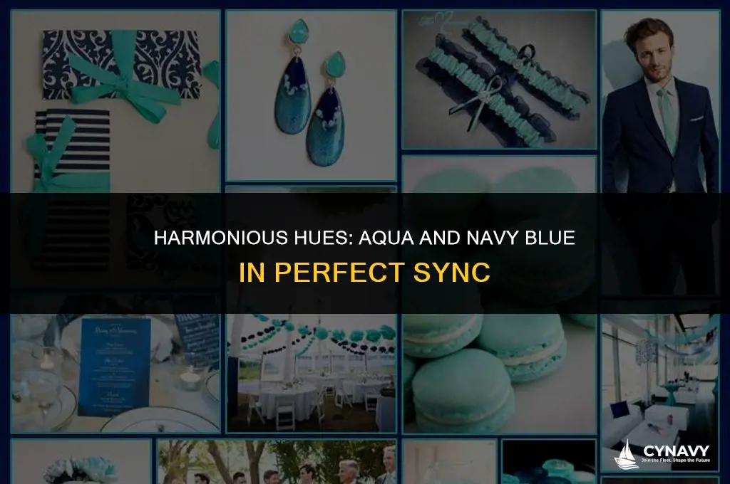 does aqua go with navy blue