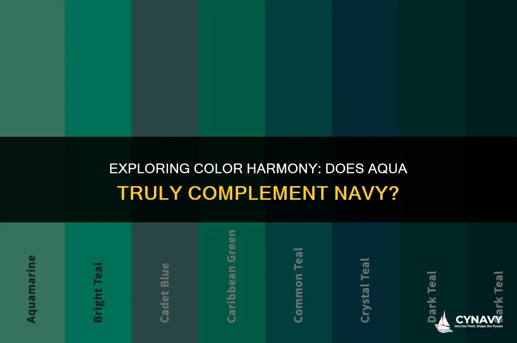 does aqua go with navy