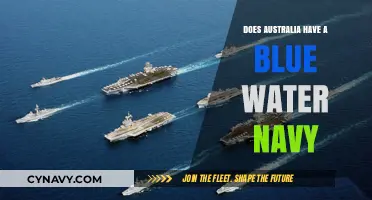 Australia's Naval Prowess: A Blue Water Capability Assessment