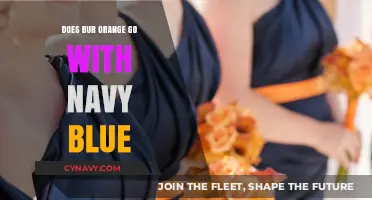 Exploring Color Harmony: Does Burnt Orange Complement Navy Blue?