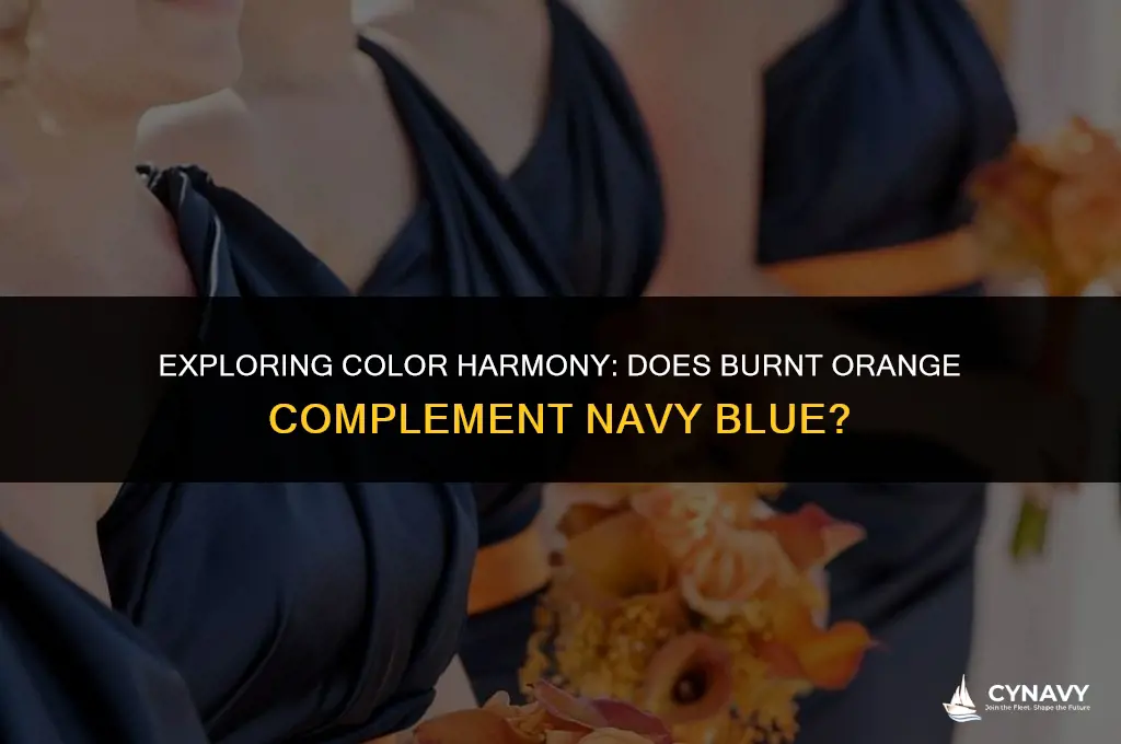 does bur orange go with navy blue