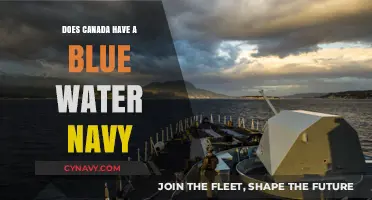 Canada's Naval Capabilities: Assessing the Blue Water Fleet