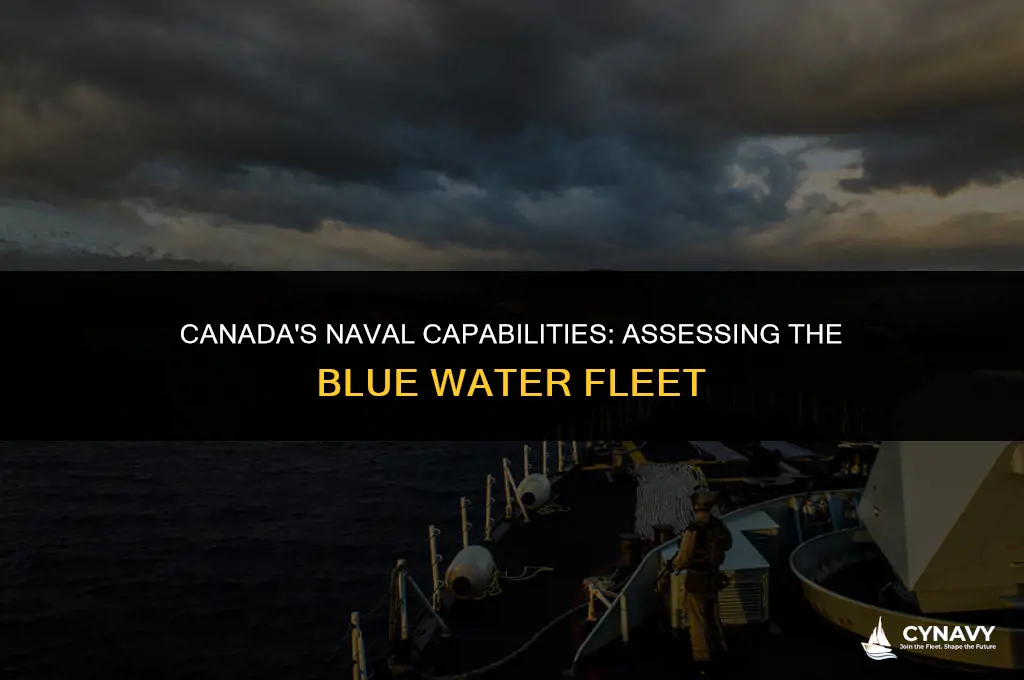 does canada have a blue water navy