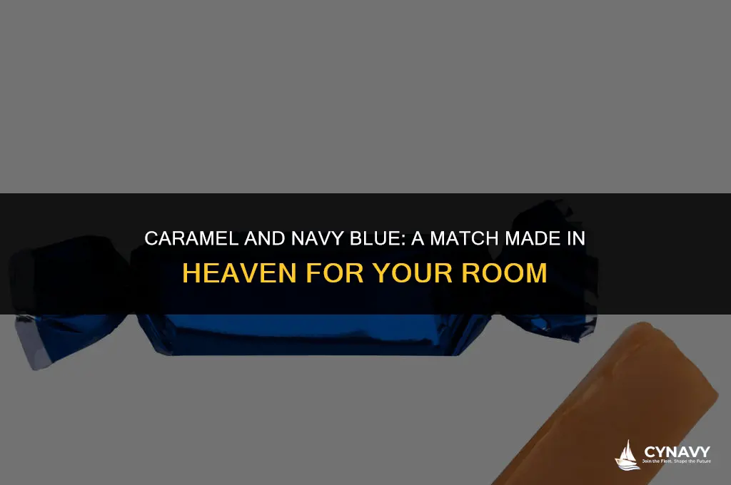 does caramel and navy blue look good together for room
