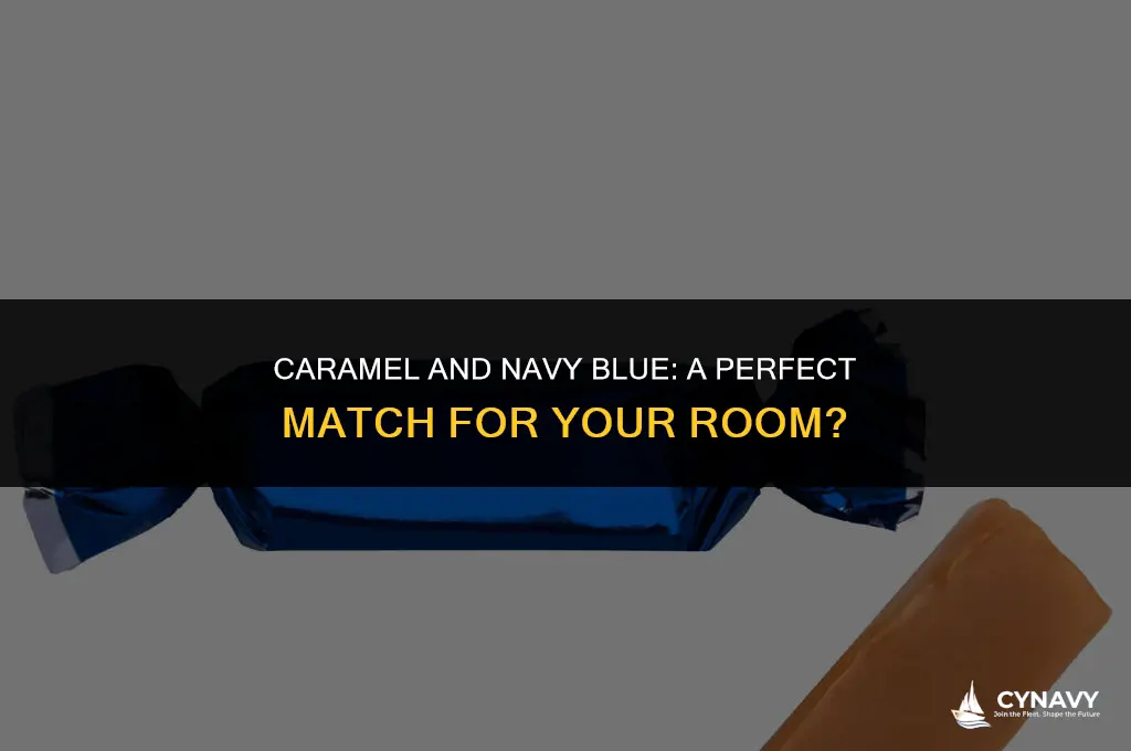 does caranel and navy blue look good together for room