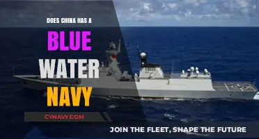 Assessing China's Naval Capabilities: Does It Have a Blue Water Navy?