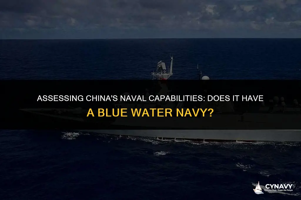 does china has a blue water navy