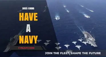 Exploring China's Naval Strength: A Comprehensive Overview