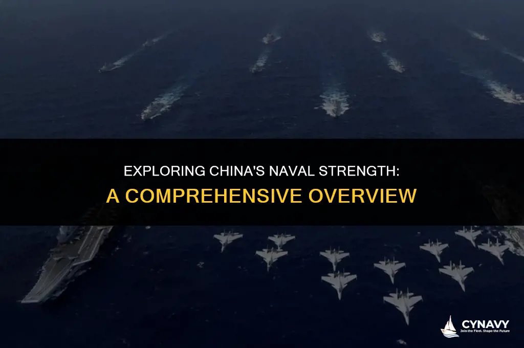 does china have a navy