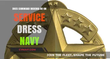 Understanding Command Insignia Placement on Navy Service Dress