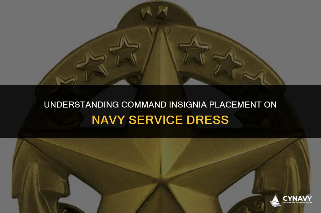 does command insignia go on service dress navy