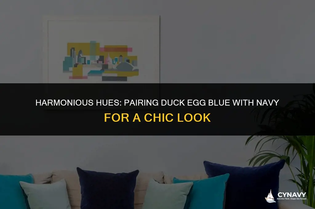 does duck egg blue go with navy
