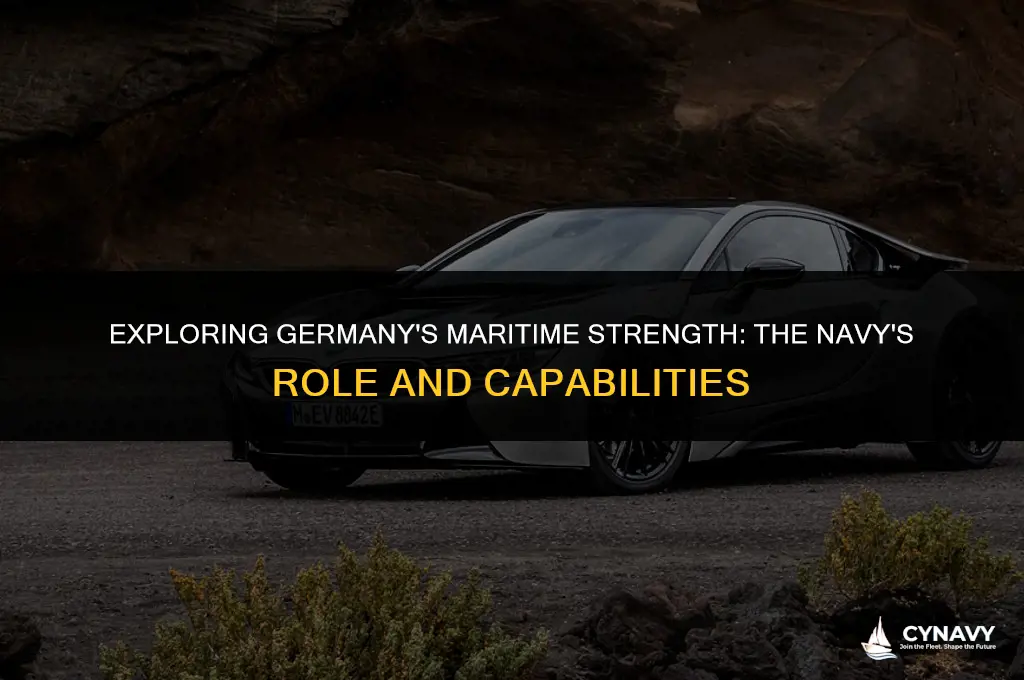 does germany have a navy