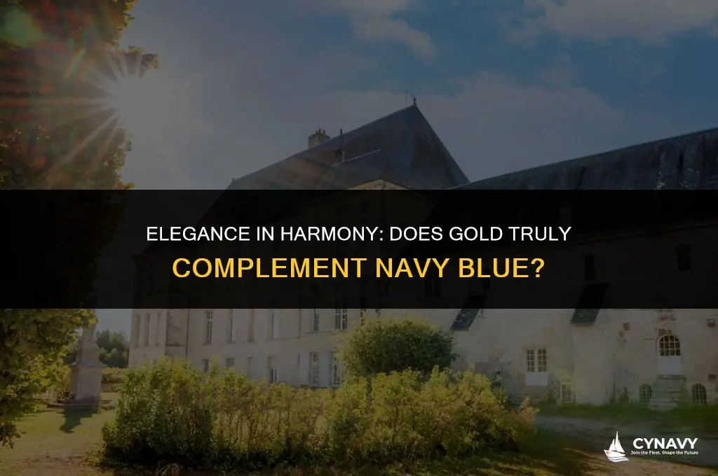 does gold match navy blue
