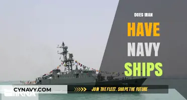 Exploring Iran's Naval Fleet: A Closer Look at Their Maritime Strength
