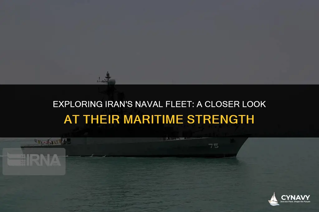 does iran have navy ships