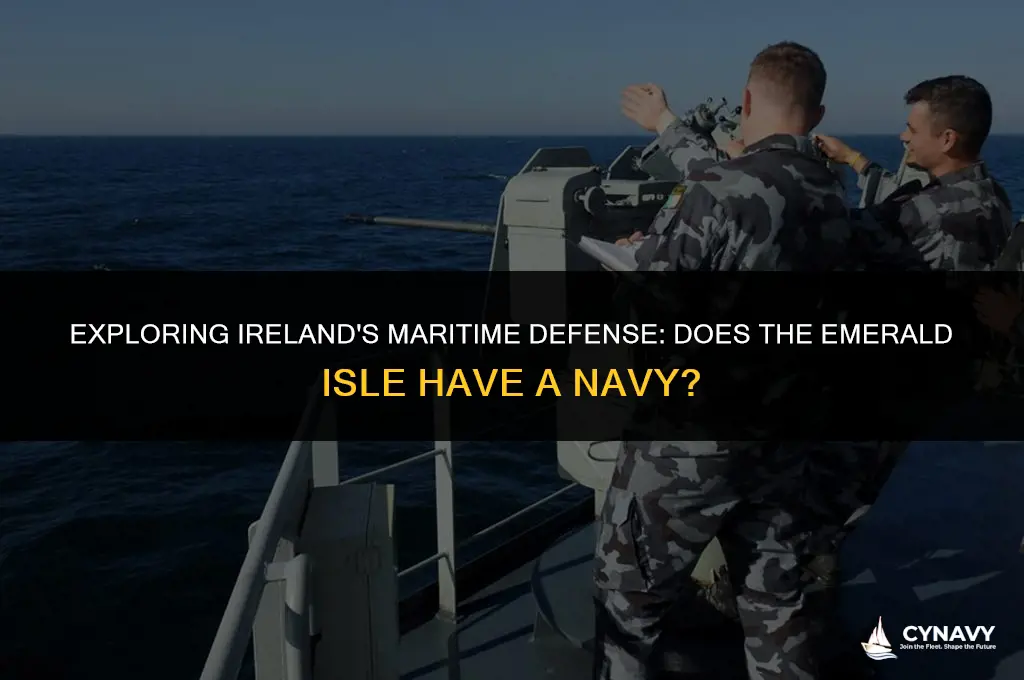 does ireland have a navy