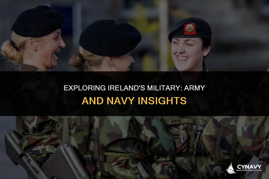 does ireland have an army and navy