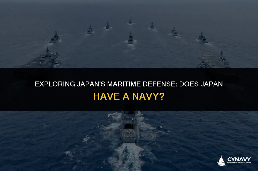 does japan have a navy