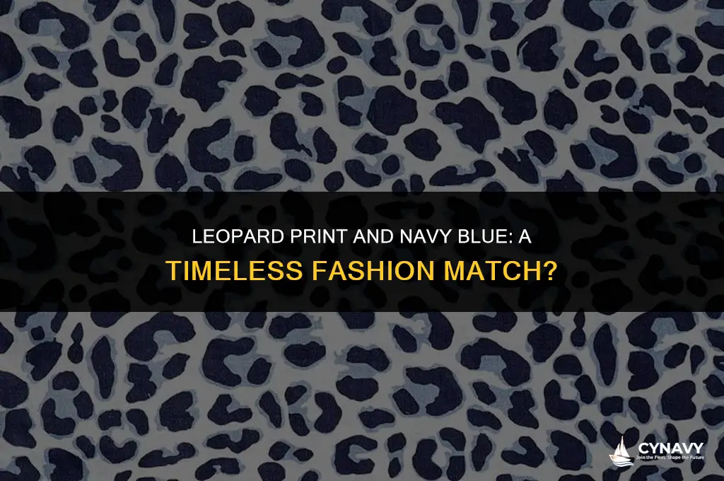 does leopard print go with navy blue