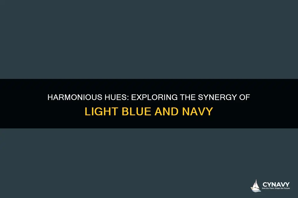 does light blue and navy go well