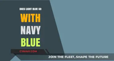 Harmonious Hues: Pairing Light Blue with Navy Blue