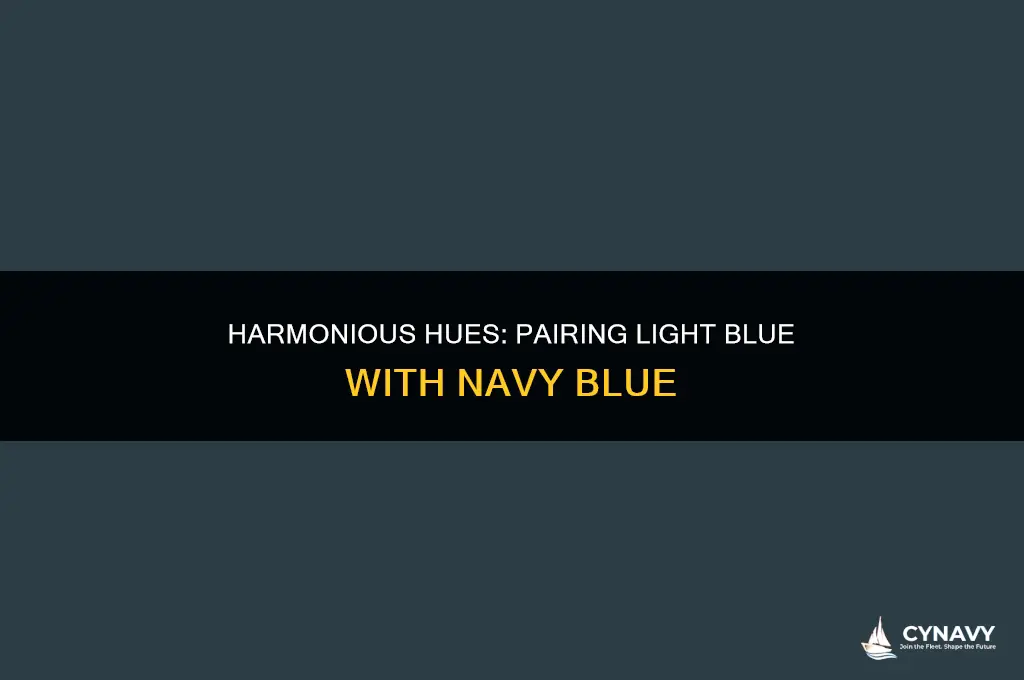 does light blue go with navy blue