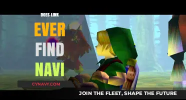 Will Link Ever Reunite with Navi? A Journey Through Time and Memory
