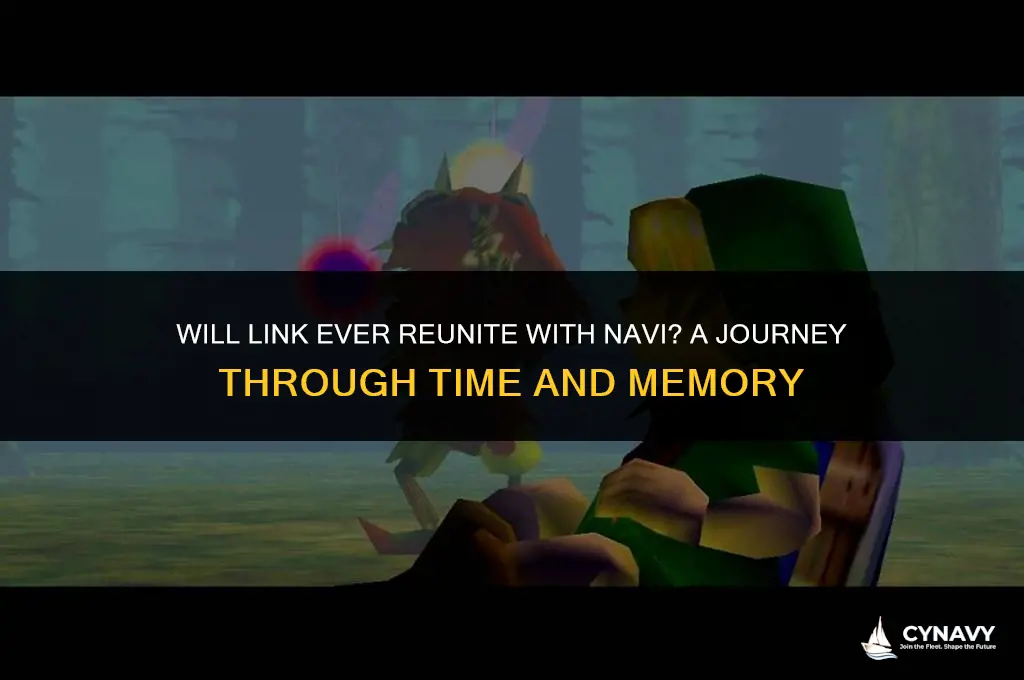 does link ever find navi