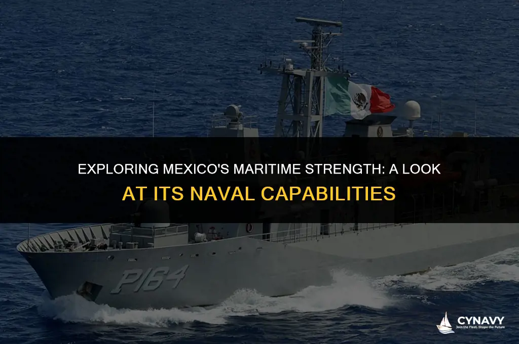 does mexico have a navy