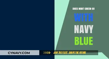 Exploring Color Harmony: Mint Green and Navy Blue