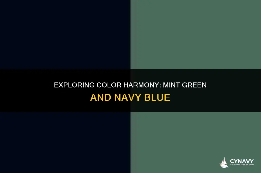 does mint green go with navy blue
