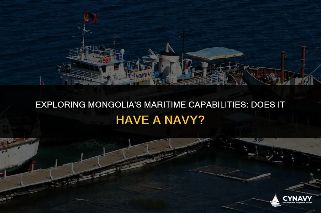 does mongolia have a navy
