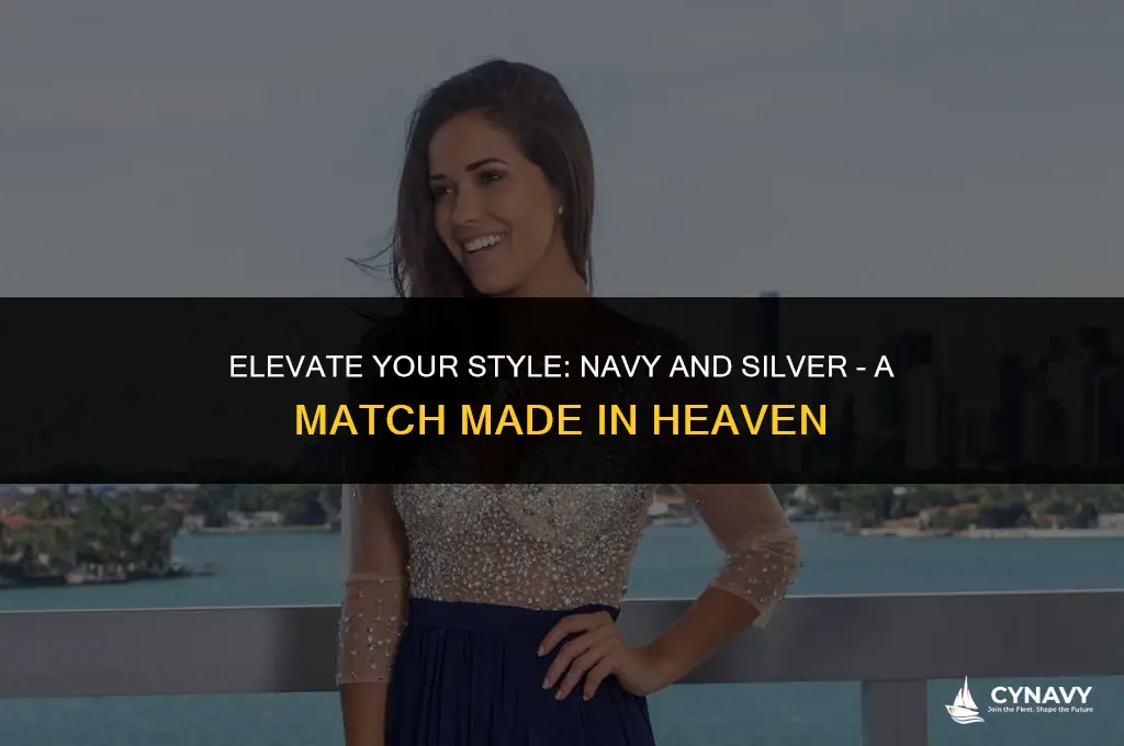 does navy and silver go together