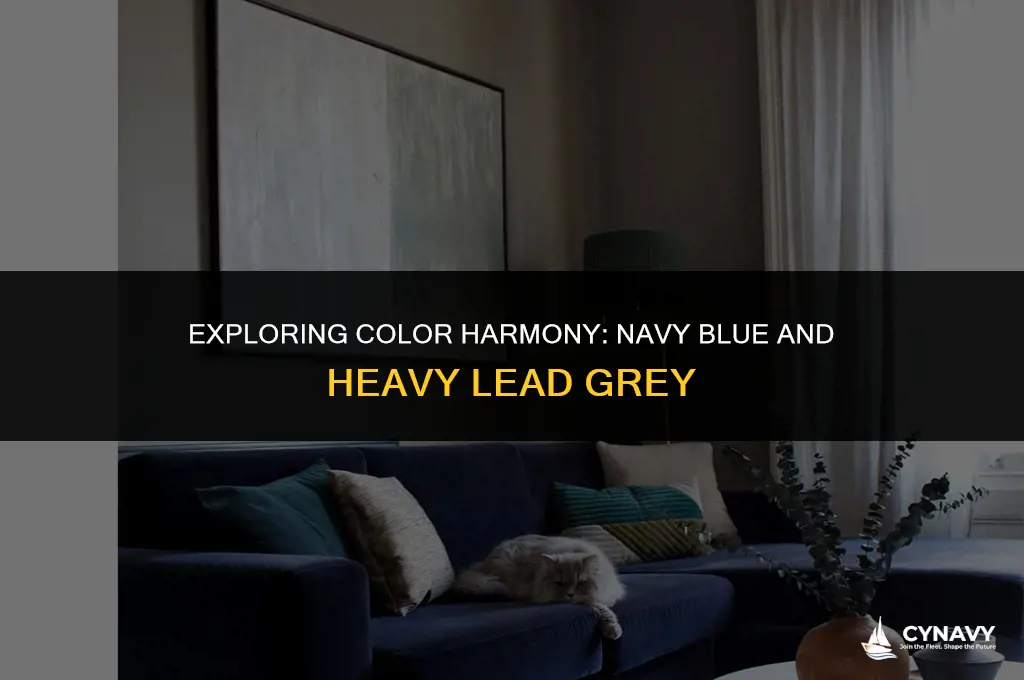 does navy blue and heavy lead grey match