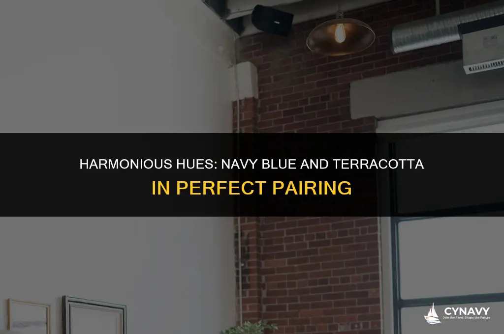 does navy blue and terracotta go together