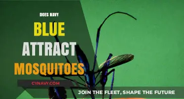 Navy Blue and Mosquitoes: Unraveling the Myth