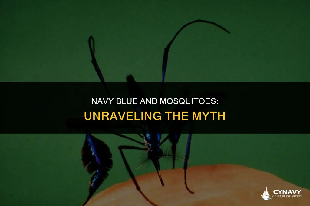 does navy blue attract mosquitoes