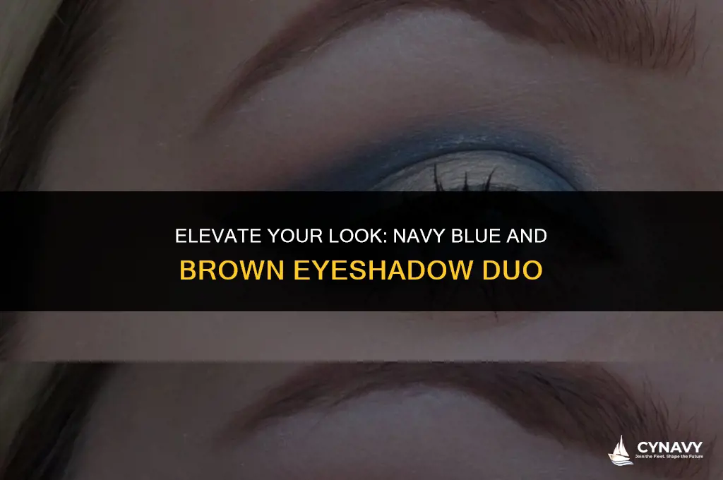 does navy blue eyeshadow go with brown eyeshadow